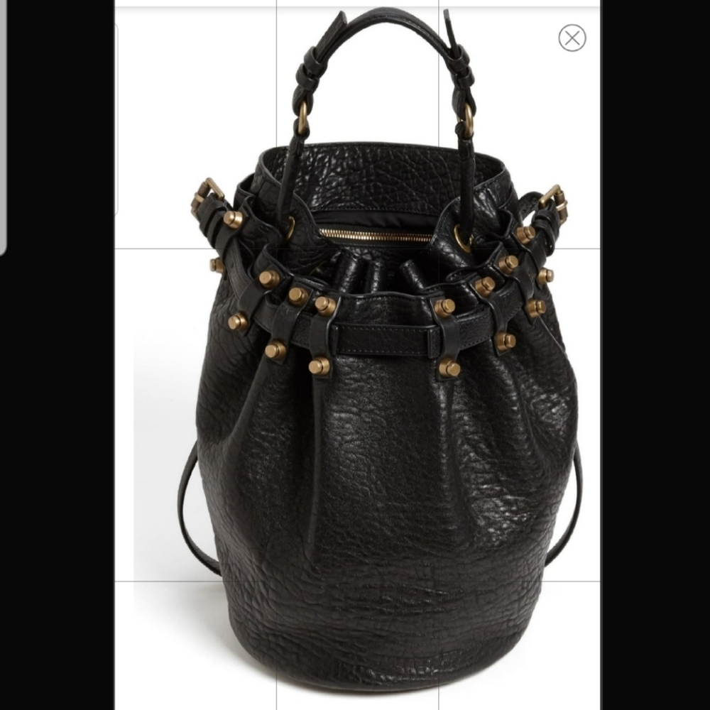Authentic Alexander Wang Diego Bucket Crossbody Shoulder Messenger Leather Bag